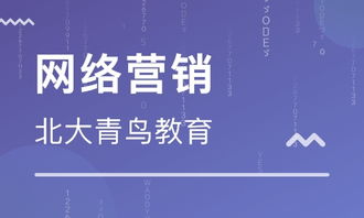 福州網(wǎng)絡(luò)營銷高級培訓(xùn)