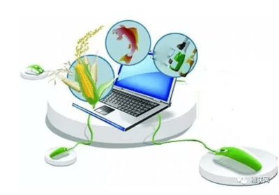 農(nóng)產(chǎn)品網(wǎng)絡(luò)銷售面臨的問題與對(duì)策分析