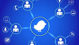 中小企業(yè)如何做好網(wǎng)絡(luò)營(yíng)銷(xiāo)